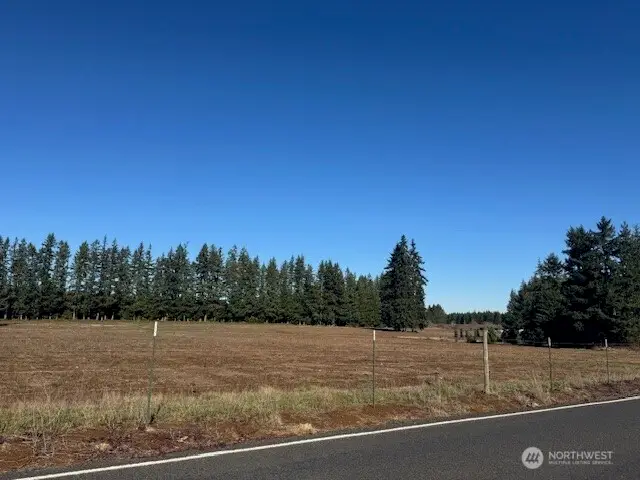 0 Brown Road #2, Winlock Pe Ell, WA 98532 - #3