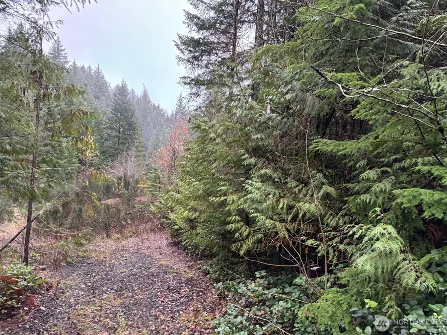 896 N Lake Cushman Drive #27, Hoodsport, WA 98548 - #2