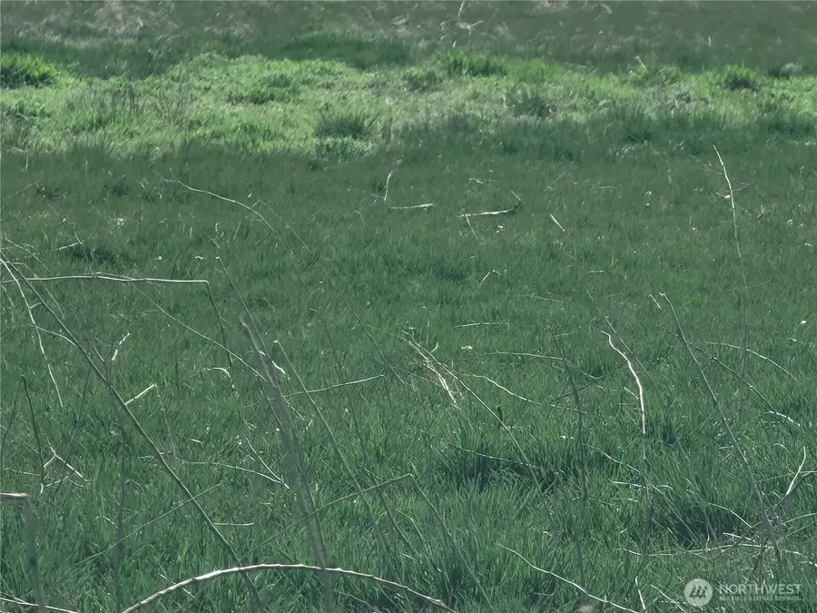 2600 Watson Road, Ellensburg, WA 98926 - #2