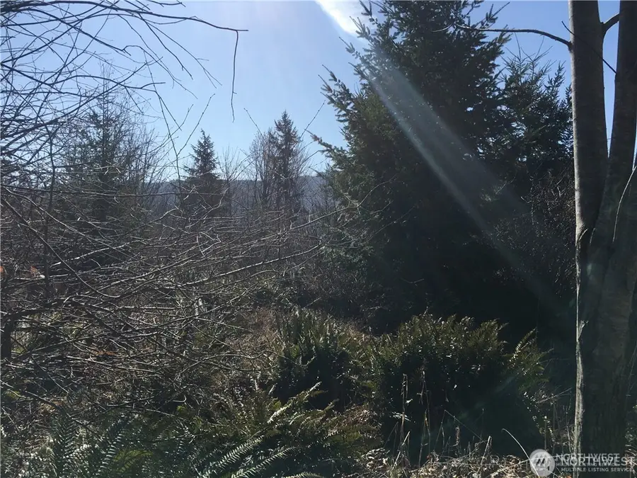 0 Summit Lake Road Nw #13818330000 & 13819220000, Olympia, WA 98502 - #2