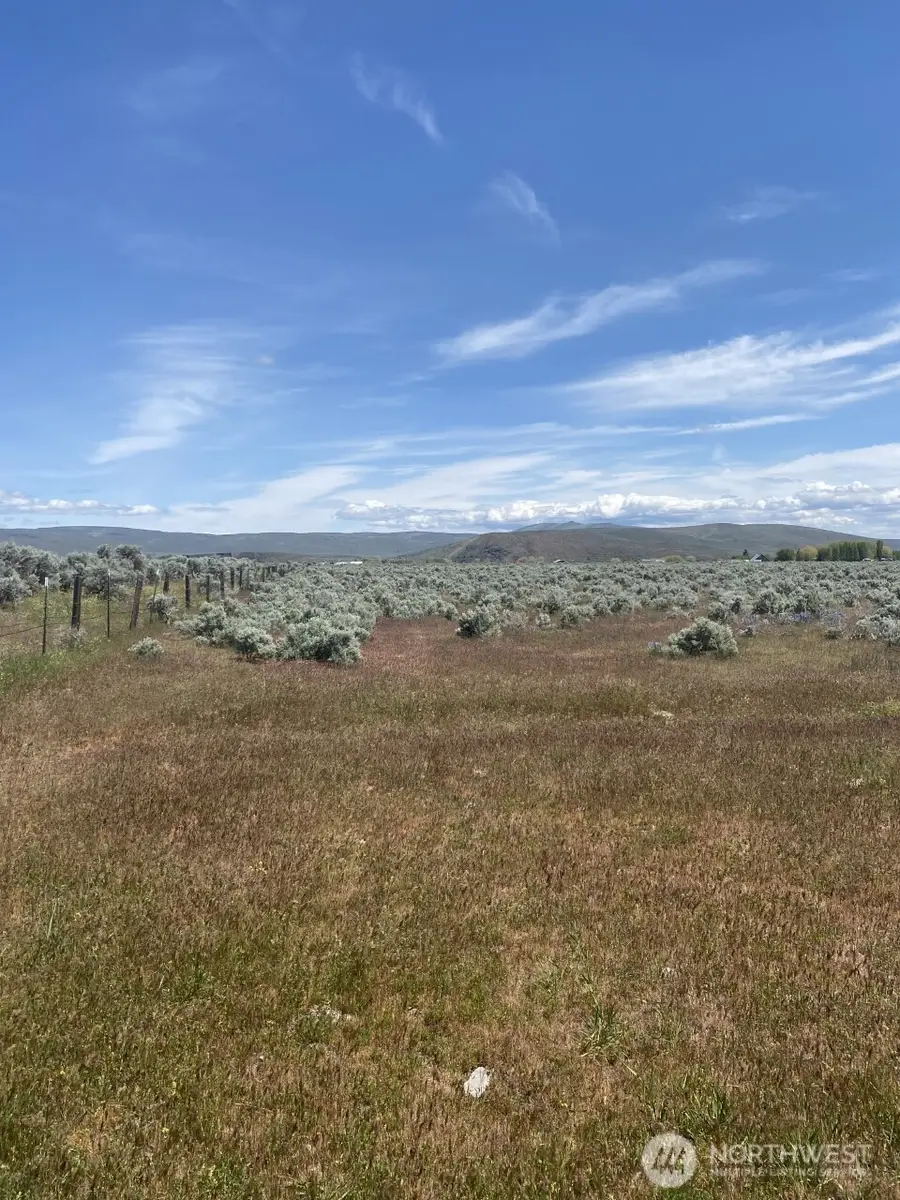 3 Lester Road #3A, Ellensburg, WA 98926 - #2