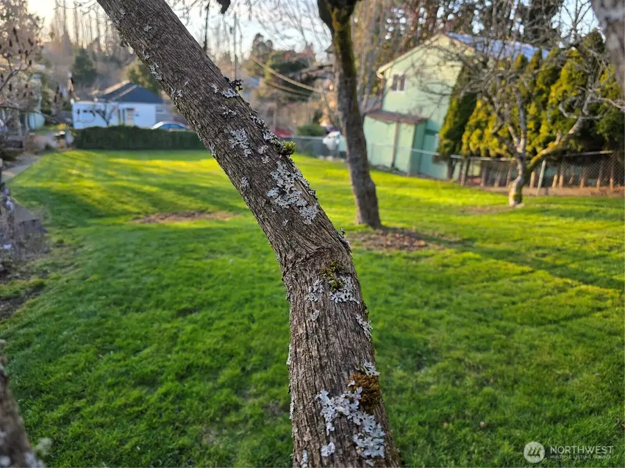 1321 23rd Street #6, Bellingham, WA 98225 - #3