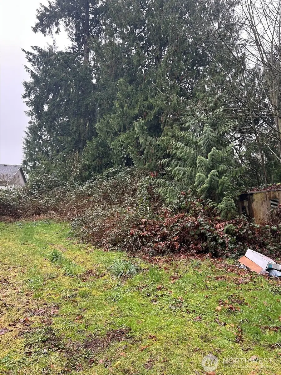 9508 204th Ave E, Bonney Lake, WA 98391 - #2