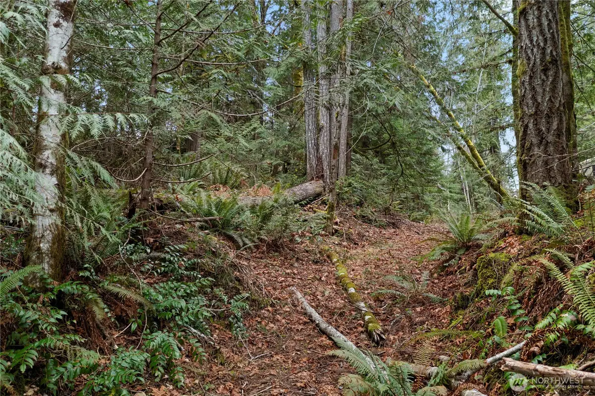 0 N Olympic Trails Drive #73, Lilliwaup, WA 98555 - #1