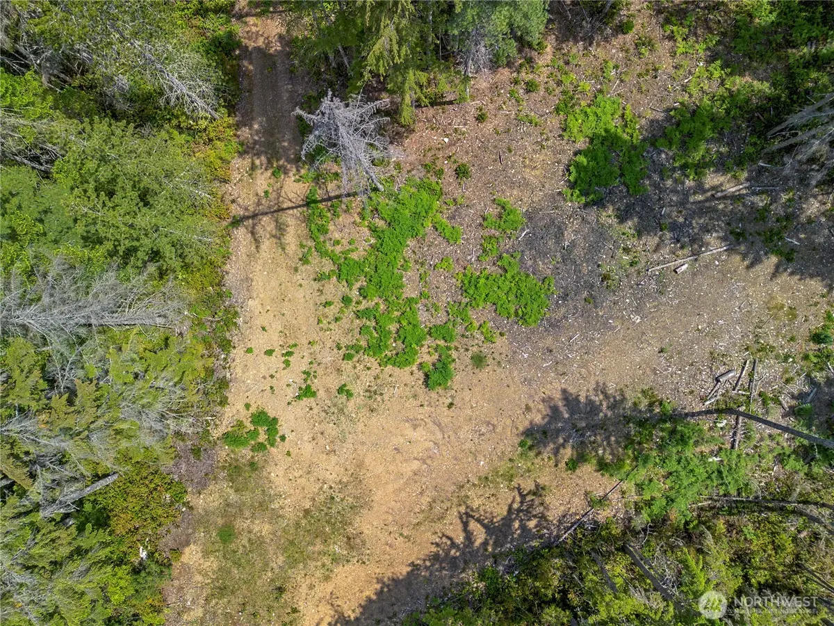 905 NE Tahuya Blacksmith Road, Tahuya, WA 98588 - #1