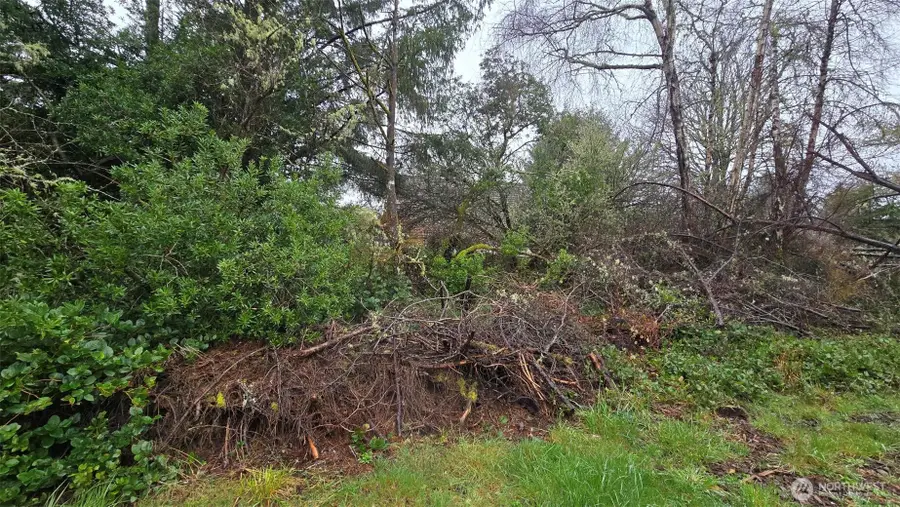 248 Wishkah Street #230, Ocean Shores, WA 98569 - #3