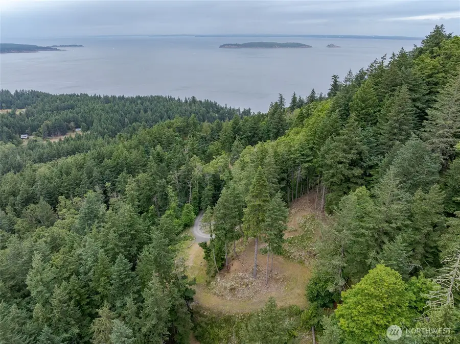 540 Wright Road, Orcas, WA 98245 - #2