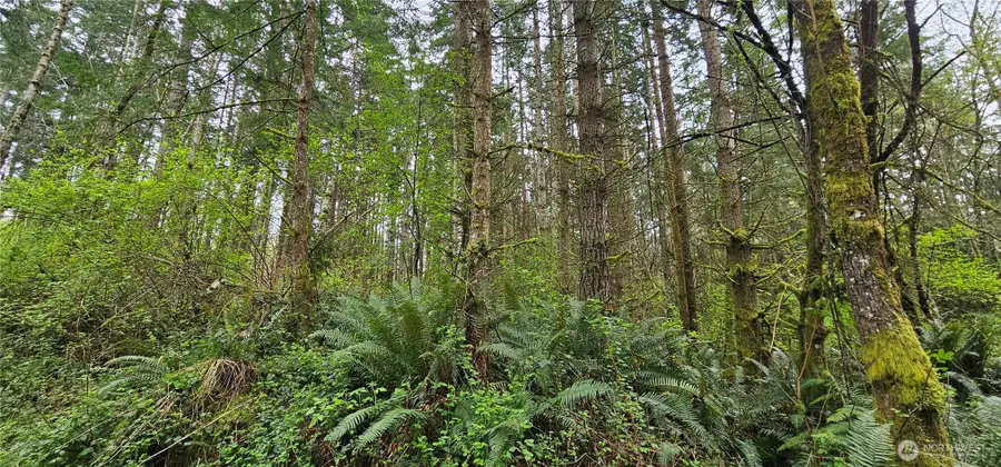 0 House Place, Camano Island, WA 98282 - #3