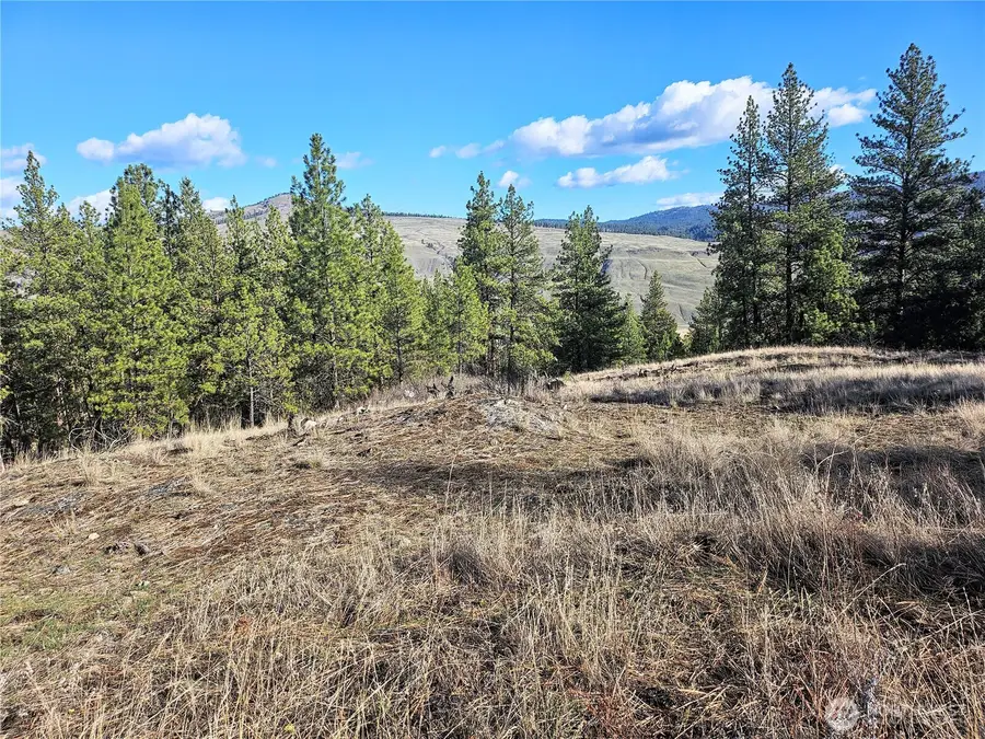 380 Lot Chopaka Tbd Road #380, Tonasket, WA 98855 - #2