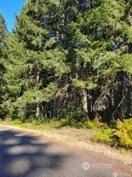 8914 130th Avenue Ct #186, Anderson Island, WA 98303 - #1