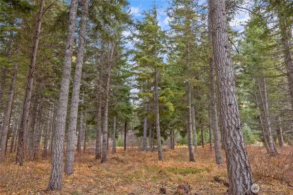 230 Goat Creek Lane #9-13, Cle Elum, WA 98922