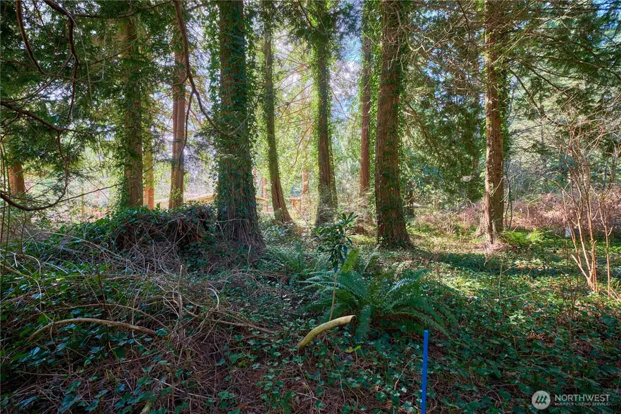 16 Burns Way #16, Point Roberts, WA 98281 - #3