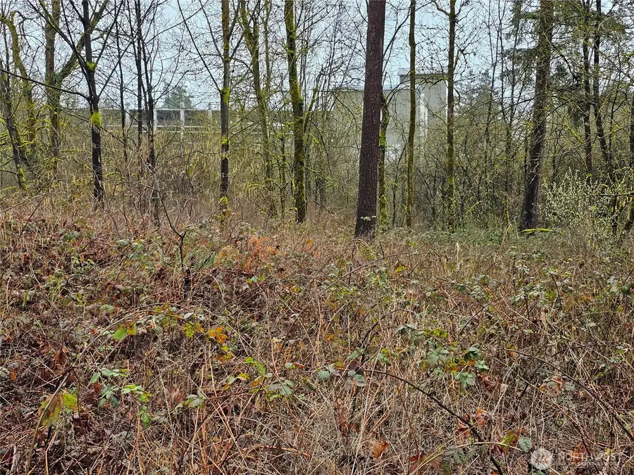 13036 188th Avenue Sw #15, Rochester, WA 98579 - #3