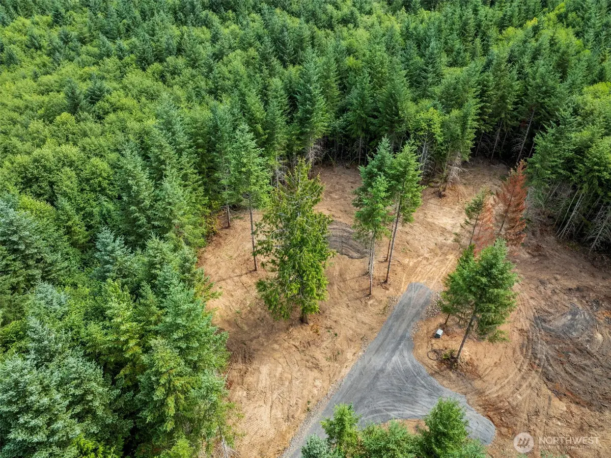 239 Durins Place, Castle Rock, WA 98611 - #1