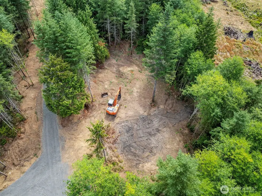 239 Durins Place, Castle Rock, WA 98611 - #3