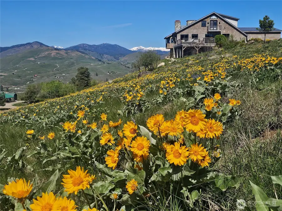 8 Deer Trails Way, Winthrop, WA 98862 - #3