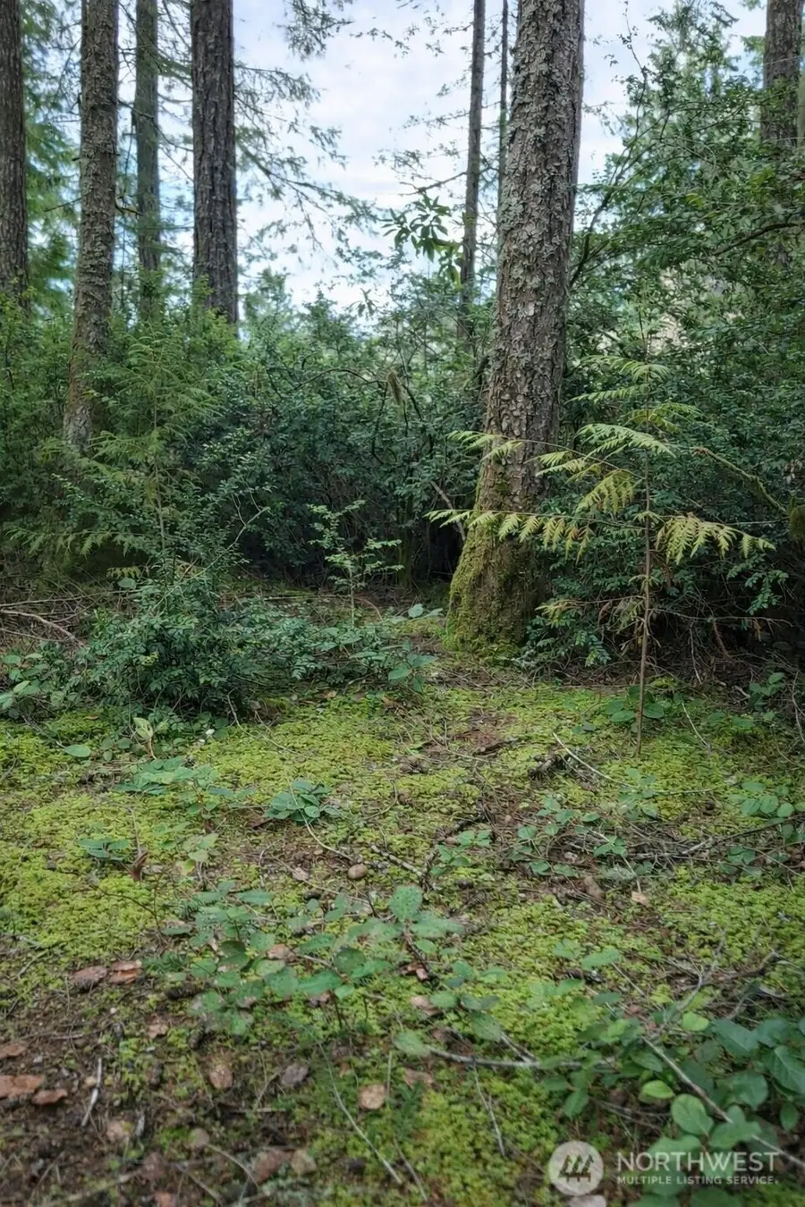 2495 Christopher Road Nw, Seabeck, WA 98380 - #3