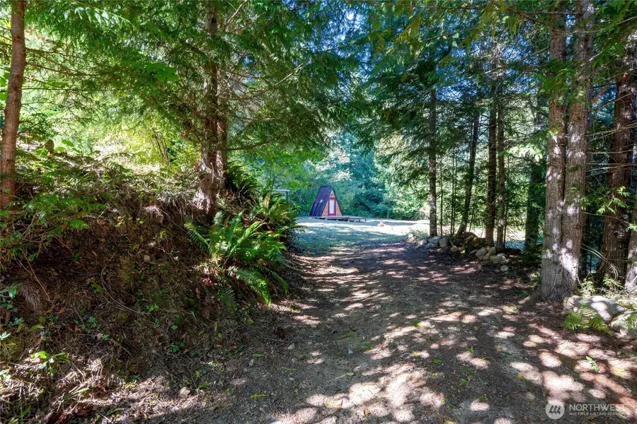 31729 558th St E, Ashford, WA 98304 - #2