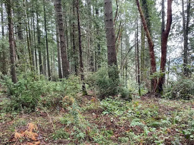 0 Bear Street, Shelton, WA 98584 - #3