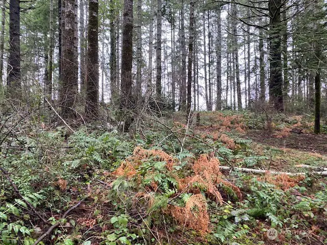 0 Elk Street, Shelton, WA 98584 - #3