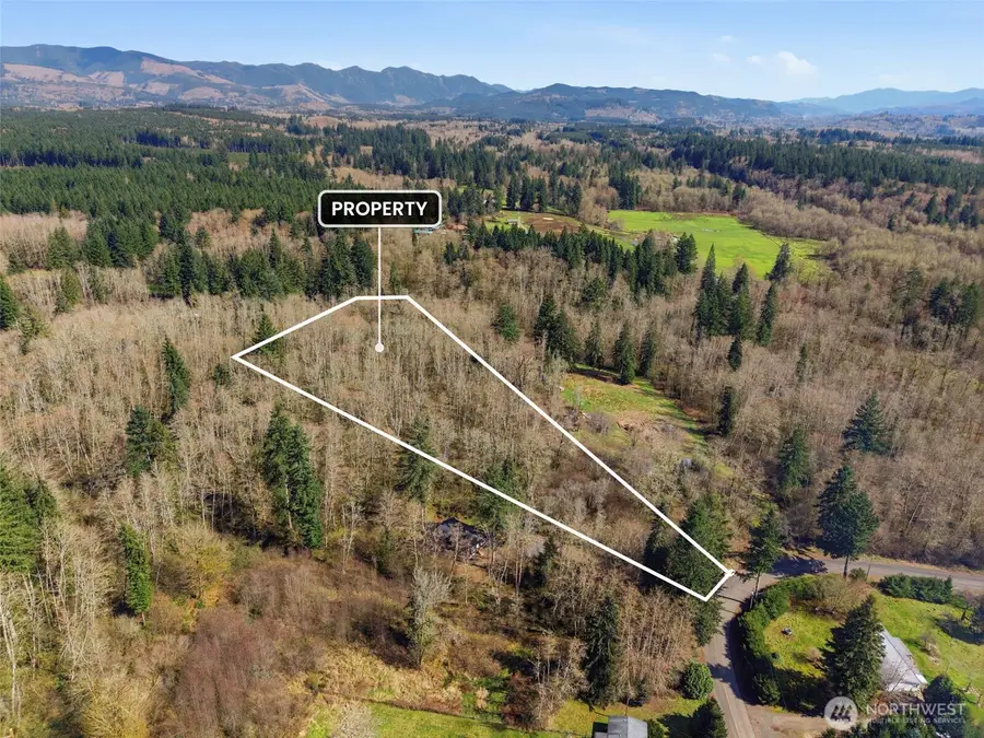 0 Viewridge Road, Onalaska, WA 98570 - #3