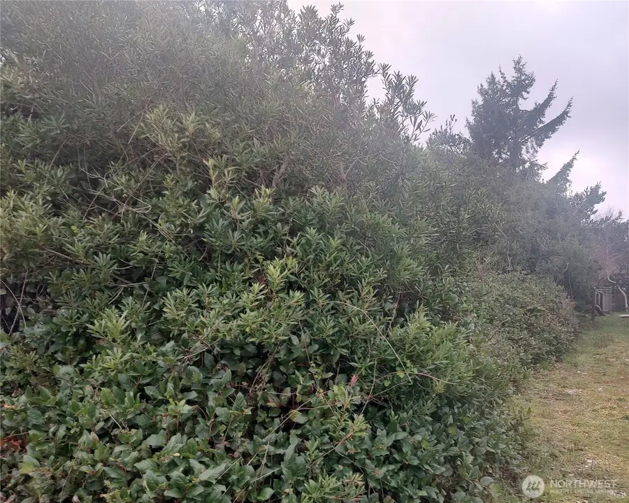 601 Ocean Shores Boulevard Sw #36, Ocean Shores, WA 98569 - #3