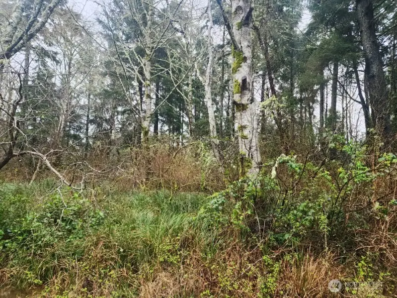 670 Weatherwax Loop Ne #11, Ocean Shores, WA 98569 - #1