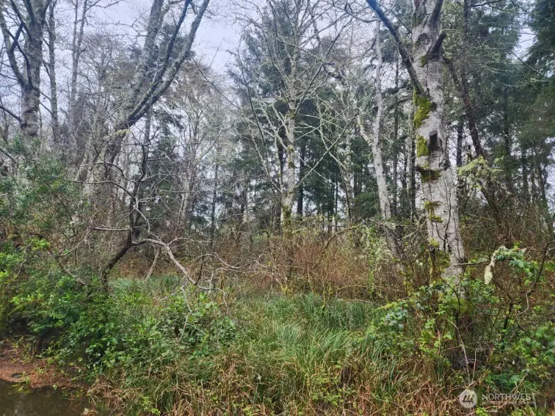 670 Weatherwax Loop Ne #11, Ocean Shores, WA 98569 - #2