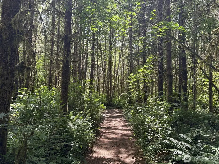 0 Sr 508, Onalaska, WA 98570 - #3