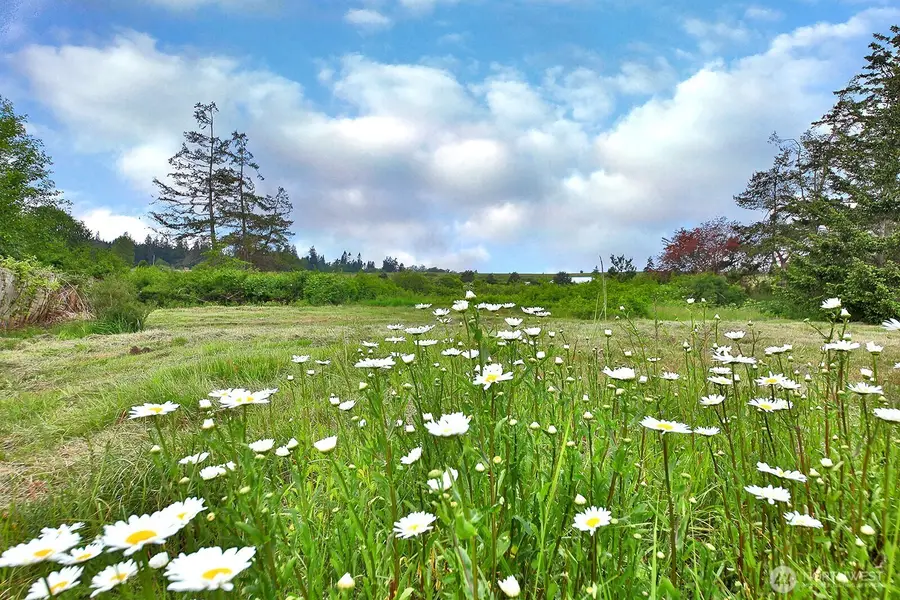 0 E Farmington Drive #10 & 11, Greenbank, WA 98253 - #3