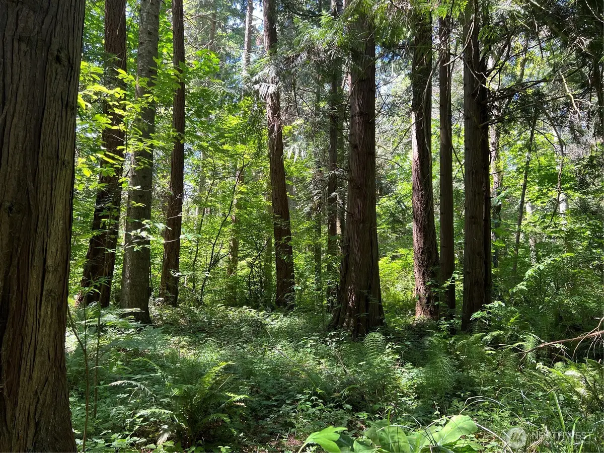 6 South Beach Road, Point Roberts, WA 98281 - #1