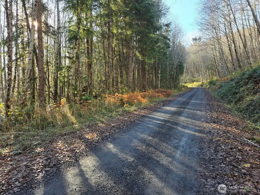 0 Fall River Road, Cosmopolis, WA 98537 - #2