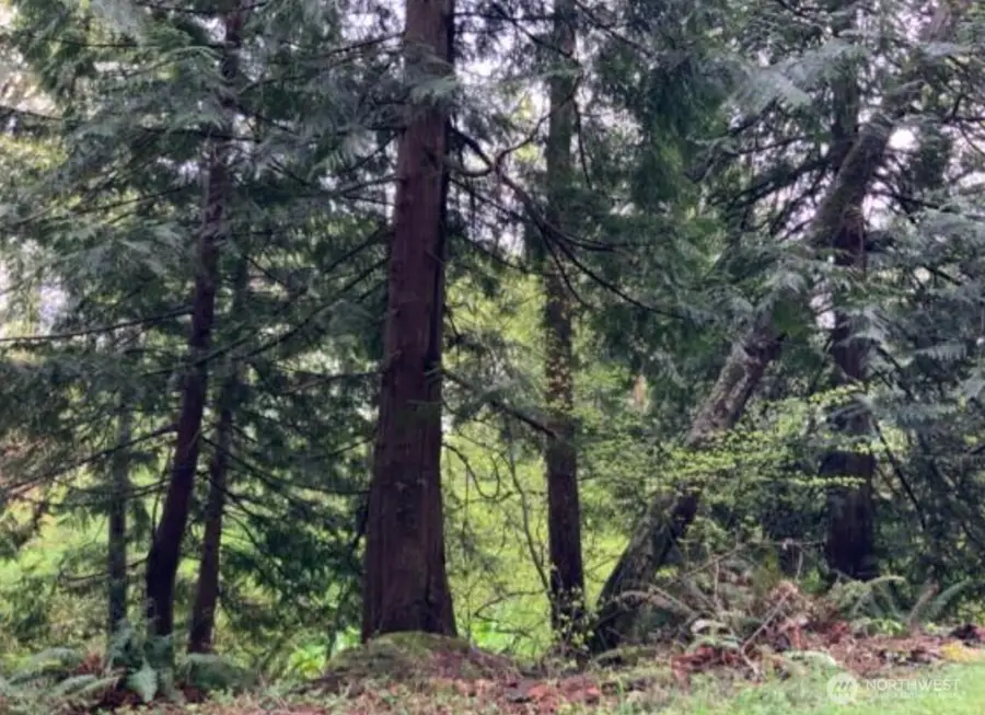 0 D Street #3, Bellingham, WA 98225 - #3