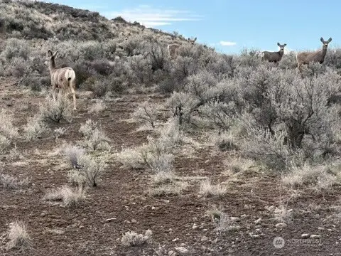 0 Stirrup Pl #12, Ephrata, WA 98823 - #2