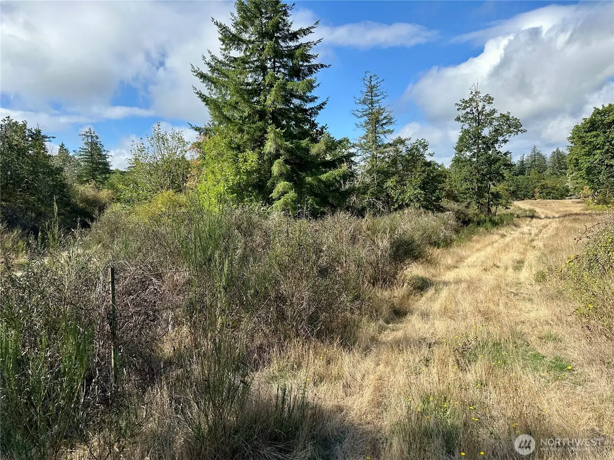 0 Dannie Womer Lane, Oakville, WA 98568 - #1