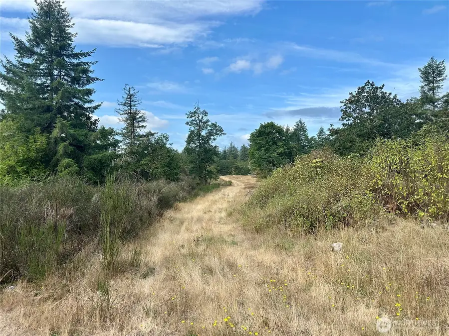 0 Dannie Womer Lane, Oakville, WA 98568 - #2