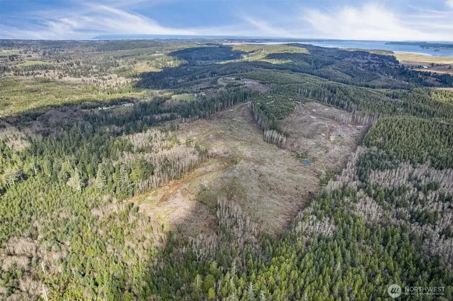 0 Luttrell Lane, Chinook, WA 98614 - #3