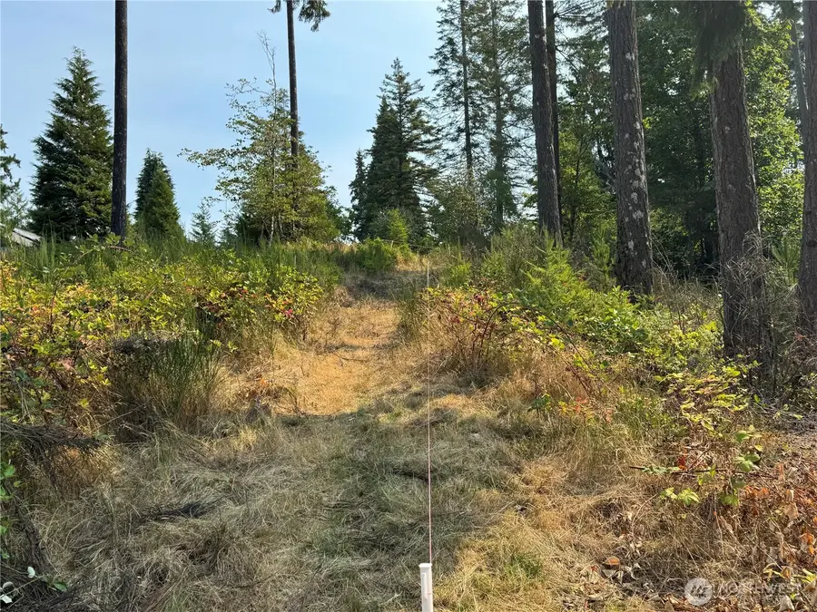 0 E Tall Timber Lane #2, Shelton, WA 98584 - #2