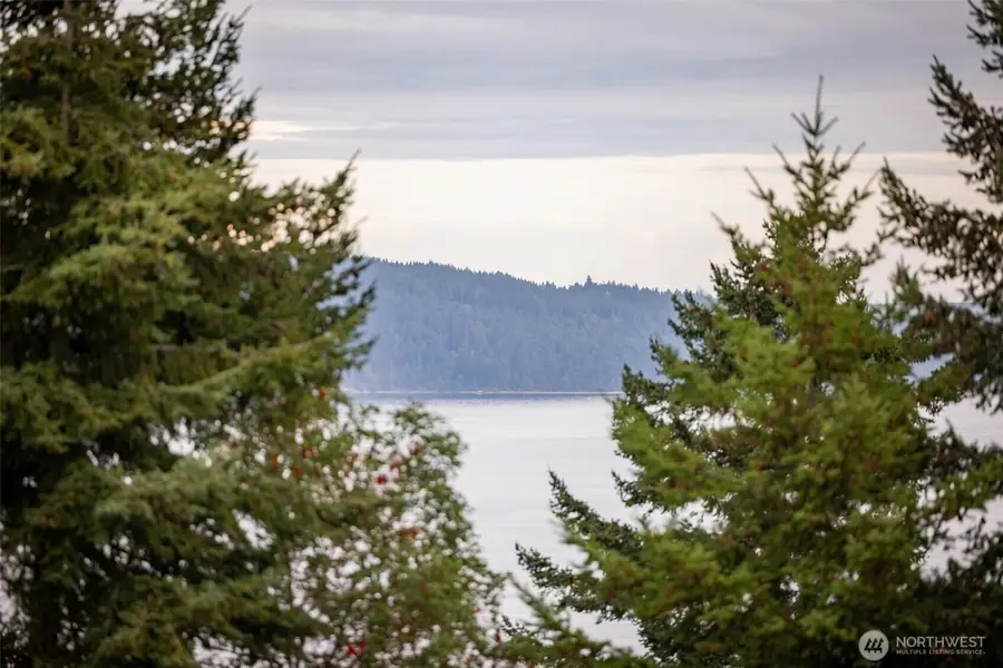 382 Discovery View Drive, Sequim, WA 98382 - #2