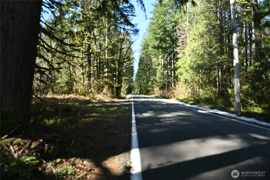 0 Old Cascade Hwy #3,4,5,6, Skykomish, WA 98288 - #2
