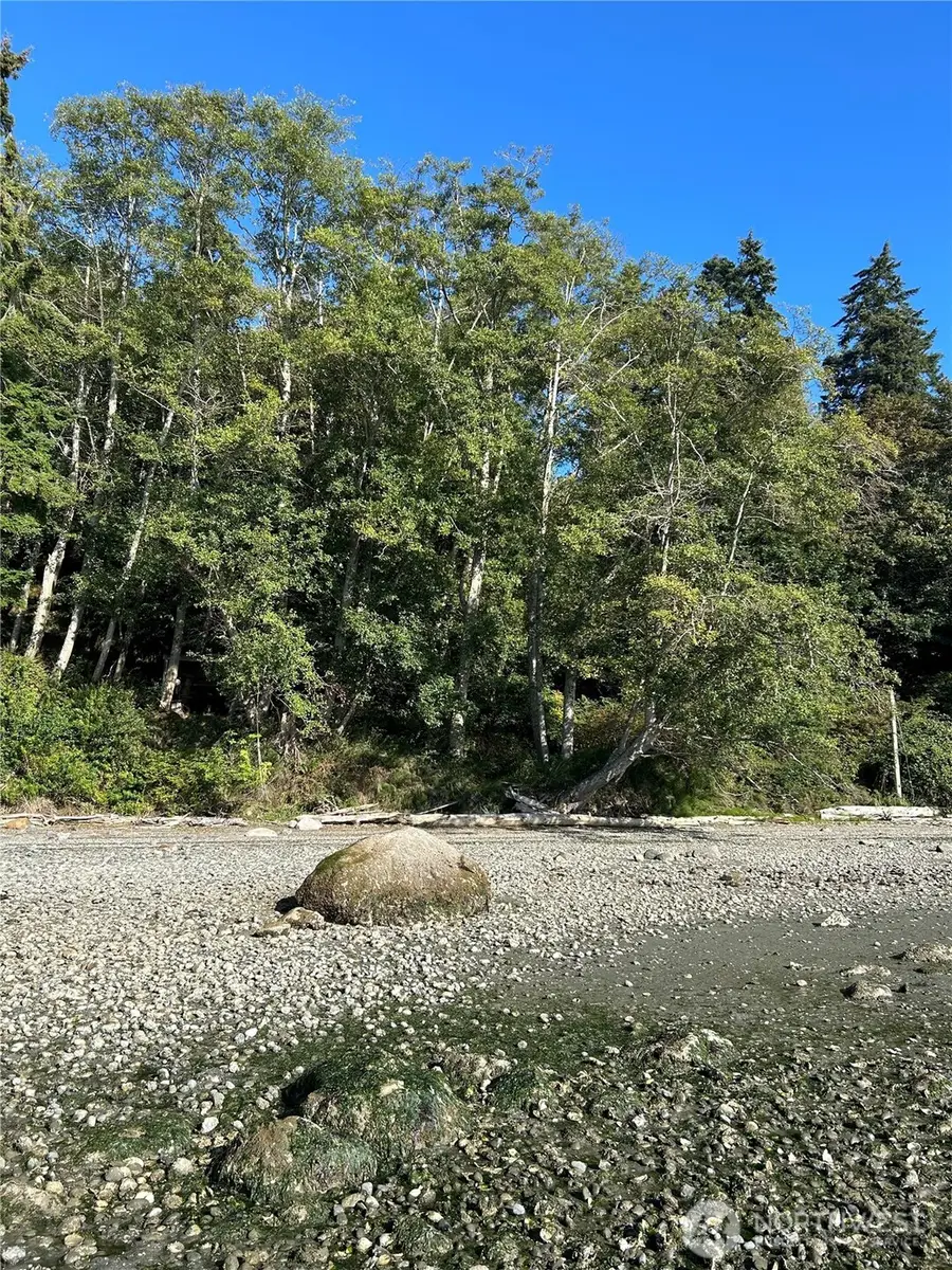 111 Seven Sisters Beach #91&92, Oak Bay Port Ludlow, WA 98358 - #3