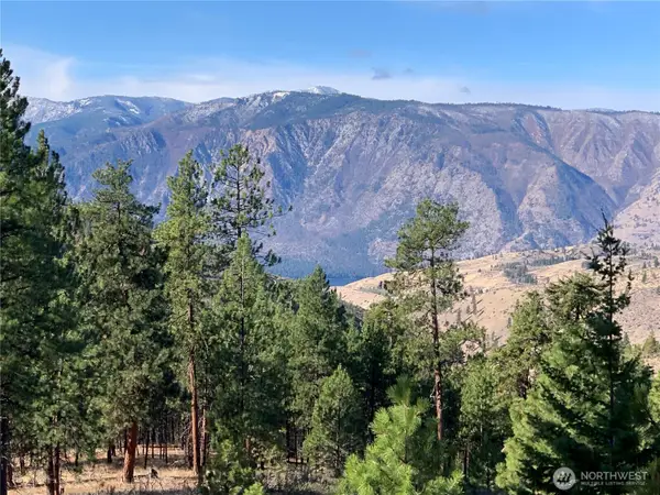 0 Cooper Mountain Road, Manson, WA 98831