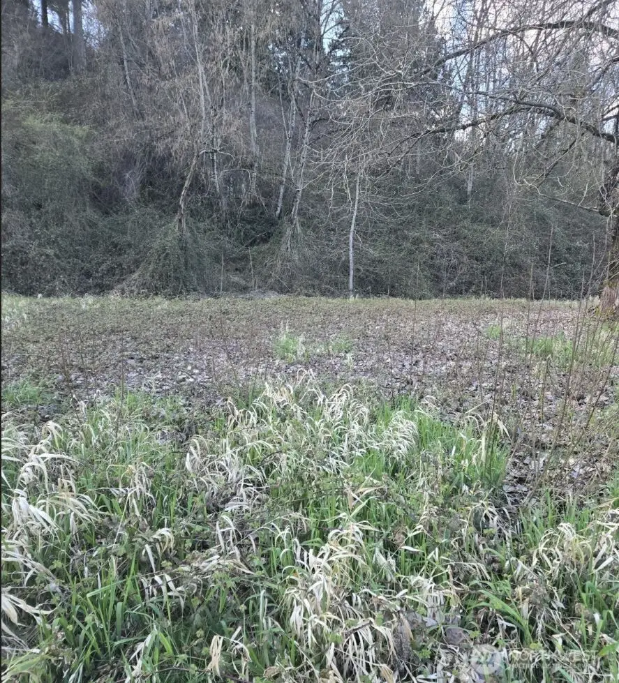 2210 W Valley Highway E, Edgewood, WA 98372 - #2