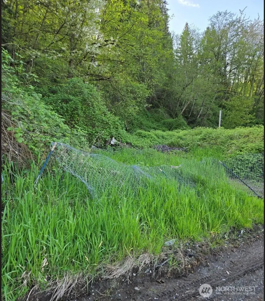 2306 W Valley Highway E, Edgewood, WA 98372 - #3