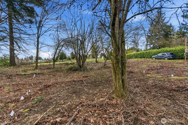 1406 E 44th Street #1, Tacoma, WA 98404