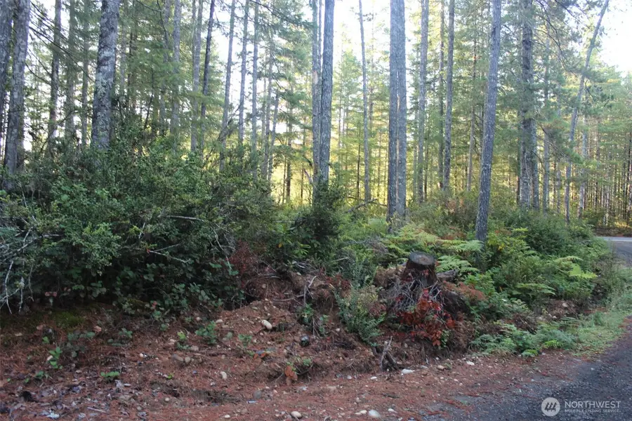 3511 NE Tahuya Blacksmith Rd, Tahuya, WA 98588 - #3