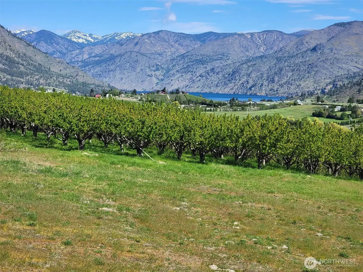 31 Milan Street #6, Manson, WA 98831 - #1