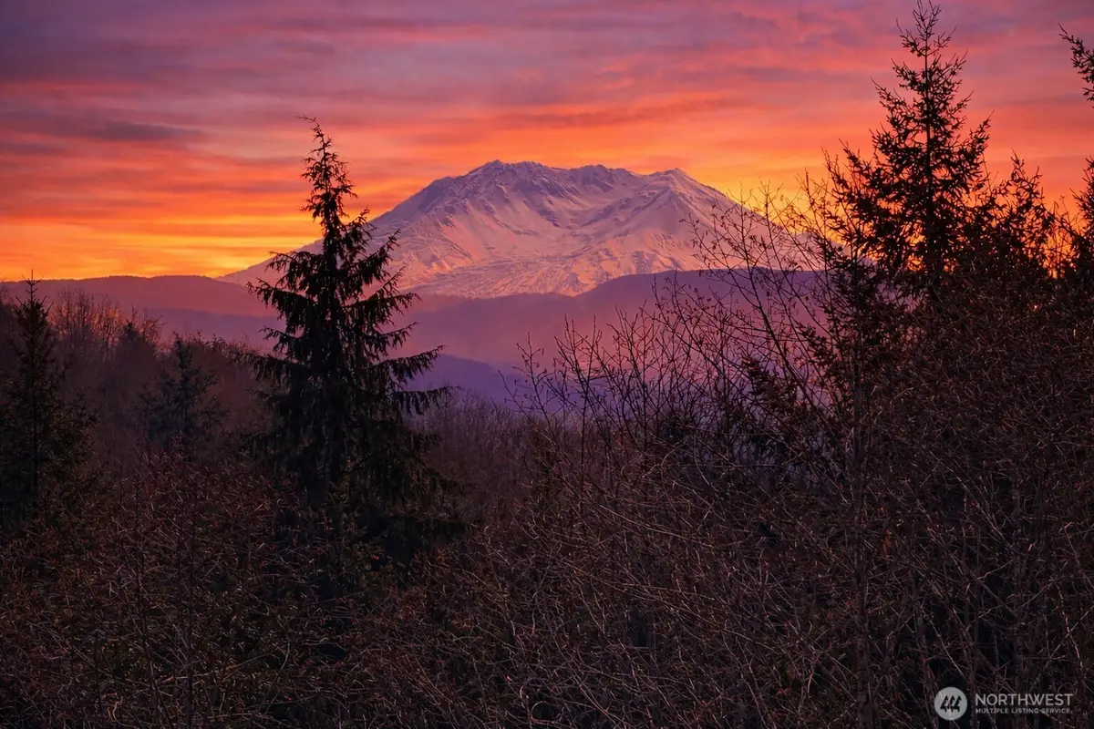 418 August Road #3, Onalaska, WA 98570 - #1