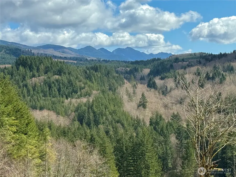 418 August Road #3, Onalaska, WA 98570 - #2