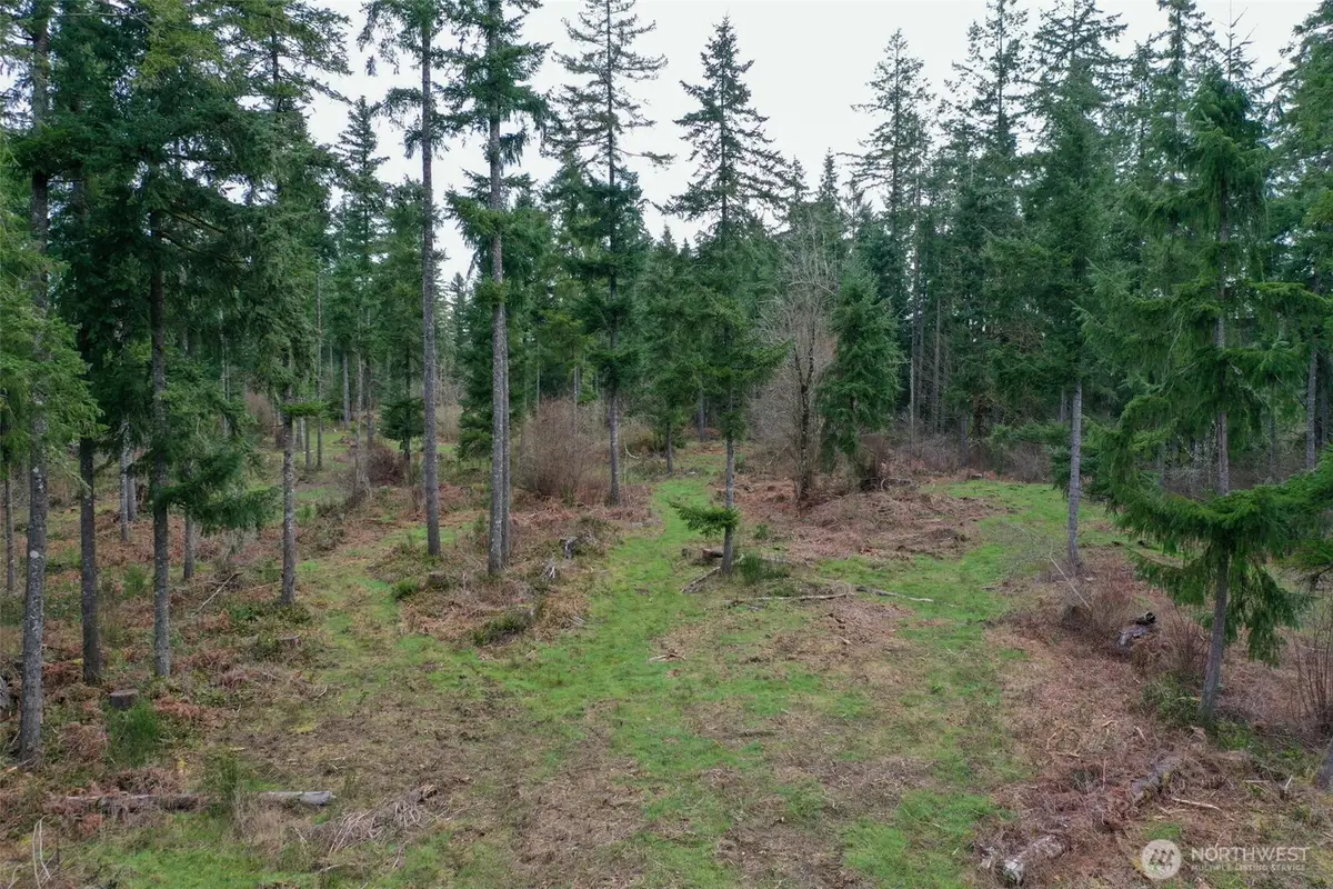 7128 115th Avenue Sw, Olympia, WA 98512 - #1